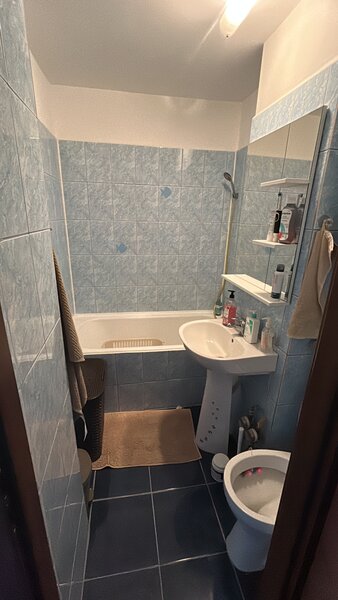 Berceni, Constantin Brancoveanu, direct proprietar,